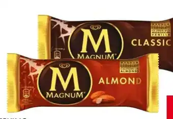 Transgourmet Magnum Angebot