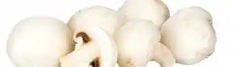 Transgourmet Champignons Angebot