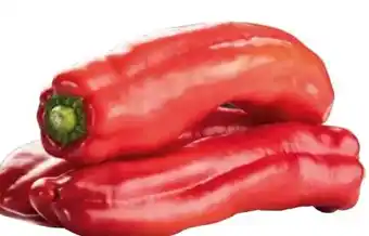 Transgourmet Paprika Rot Angebot