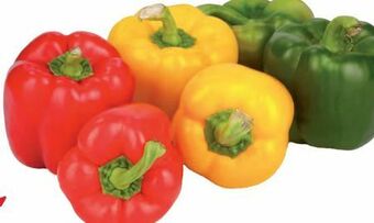 Transgourmet Paprika Mix Angebot