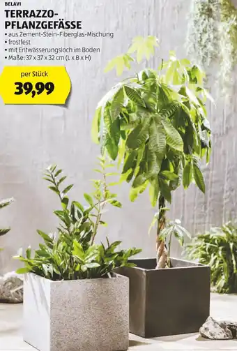 Hofer BELAVI TERRAZZO- PFLANZGEFÄSSE Angebot