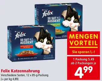 Interspar Felix Katzennahrung 12 x 85g Angebot