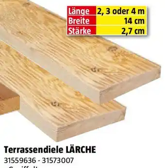 Bauhaus Terrassendiele LÄRCHE Angebot