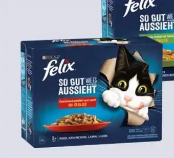 Interspar Felix Katzennahrung Angebot