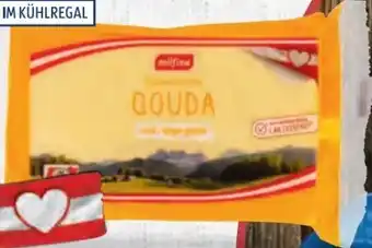 Hofer Gouda Angebot