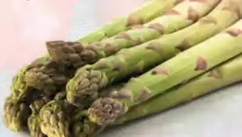 Hofer Spargel Angebot