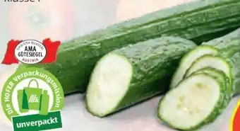 Hofer Gurke Angebot
