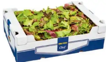 Metro Wildkräutersalat Angebot
