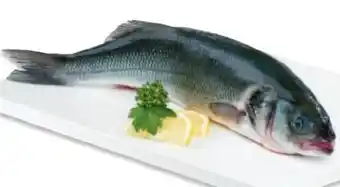 Metro Wolfsbarsch Angebot