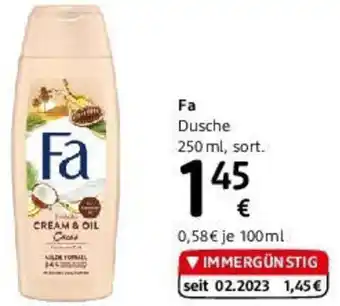 dm Fa Dusche 250 ml Angebot