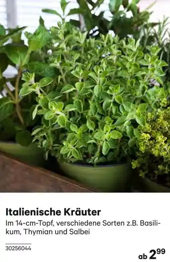 BayWa Italienische Kräuter Angebot