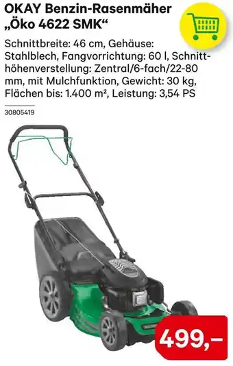 BayWa OKAY Benzin-Rasenmäher ,,Öko 4622 SMK Angebot