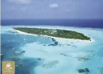 Billa Reisen Nord-Malé-Atoll-Malediven Angebot