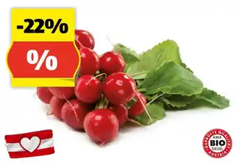 Hofer ZURÜCK ZUM URSPRUNG BIO-Radieschen aus Österreich Angebot