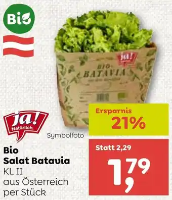 ADEG Bio Salat Batavia Angebot