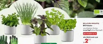 Bellaflora BIO Kräuter Angebot