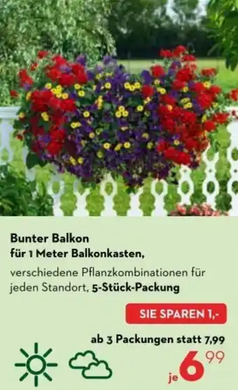 Bellaflora Bunter Balkon für 1 Meter Balkonkasten Angebot
