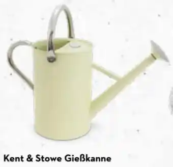 Bellaflora Kent & Stowe Gieẞkanne Angebot