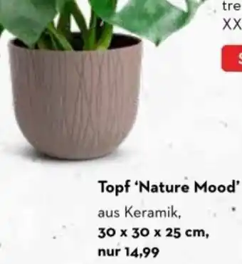 Bellaflora Topf 'Nature Mood' Angebot