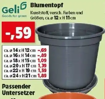 Thomas Philipps Blumentopf Angebot