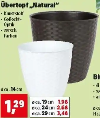Thomas Philipps Übertopf Natural Angebot
