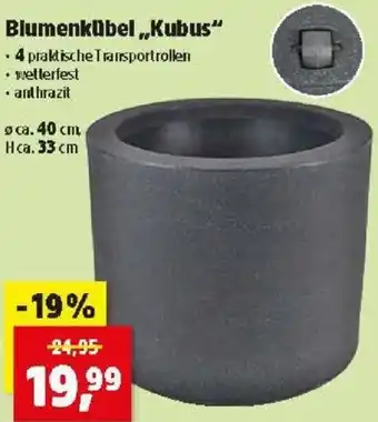 Thomas Philipps Blumenkübel Kubus Angebot