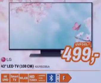 Expert 43" LED-TV (108 CM) Angebot