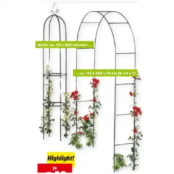 Lidl Livarno Home Rosenbogen/Rankturm Lidl 1 Stück Angebot