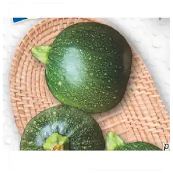 Lidl Zucchini rund Lidl Plus Vorteilspreis 1 Stück Angebot