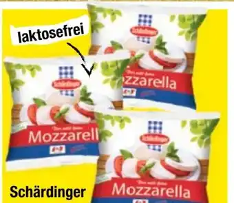 Maximarkt Mozzarella Angebot