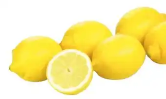 Transgourmet Zitronen Angebot