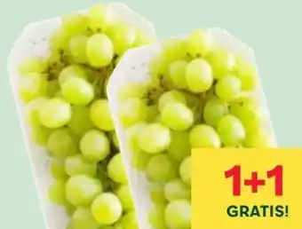 MPreis Trauben Angebot