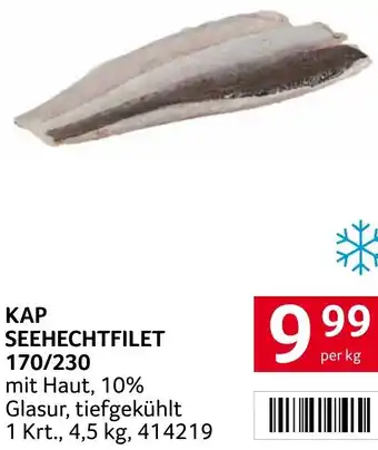 Transgourmet KAP SEEHECHTFILET 170/230 Angebot