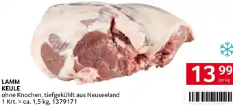 Transgourmet LAMM KEULE Angebot