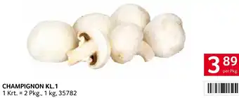 Transgourmet CHAMPIGNON KL.1 Angebot