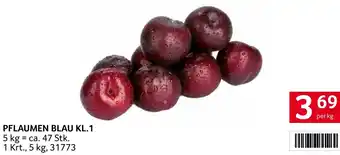 Transgourmet PFLAUMEN BLAU KL.1 Angebot