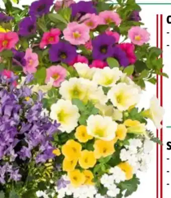 Bauhaus Confetti - Garden TRIO Angebot