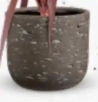 Bellaflora Topf Portland Angebot