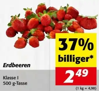 Nah&Frisch Erdbeeren Angebot