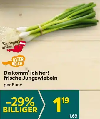 Billa Da komm' ich her! frische Jungzwiebeln Angebot