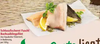 Interspar Schlossfischerei Fuschl Bachsaiblingsfilet Angebot