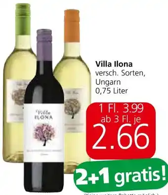 Spar Grüner Veltliner Angebot