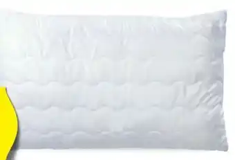 Hofer Kissen Angebot