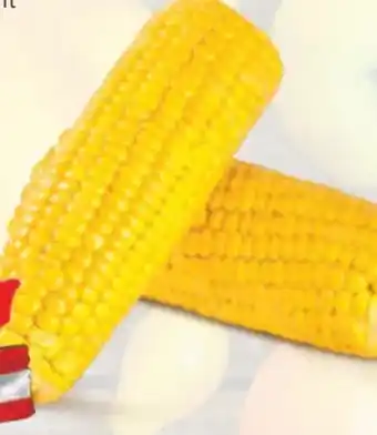 Hofer Zuckermais Angebot