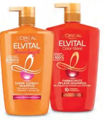 Hofer Elvital Shampoo Angebot