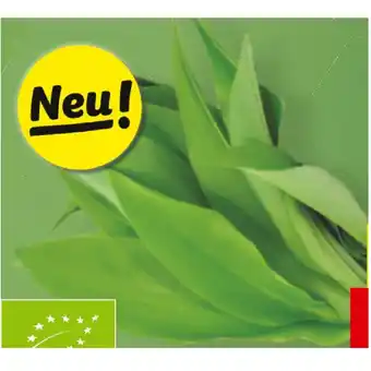 Lidl Bio Bärlauch Lidl 100 Gramm Angebot