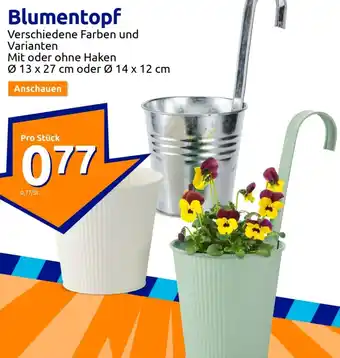 Action Blumentopf Angebot