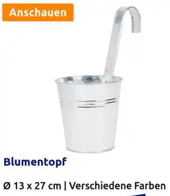 Action Blumentopf Angebot