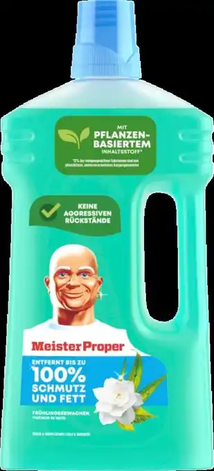 dm Allzweckreiniger Angebot