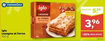 ADEG iglo Lasagne al Forno 700 g Angebot